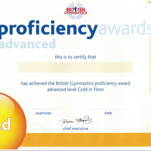 9.6 Gymnastics Certificate-ONLY   Gold
